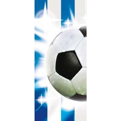 Preinterier DV0199 Fototapeta na stenu Futbalová lopta vlies 91cm x 211cm