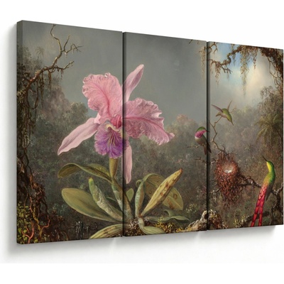 Obraz - Martin Johnson Heade, Cattleya Orchid and Three Hummingbirds, reprodukcia, trojdielne 120x80 cm