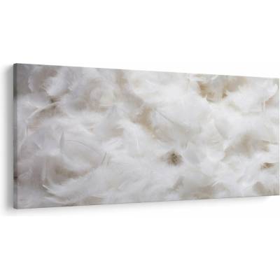 Obraz - Biele perie, jednodielne 250x125 cm