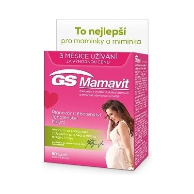 GS Mamavit 1 Plánování a 1. trimestr 90 tablet – Hledejceny.cz