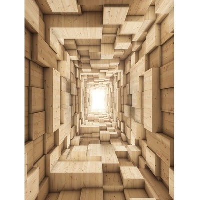 Preinterier Fototapeta panel - PL0717 - 3D kocky vlies - 206cm x 275cm