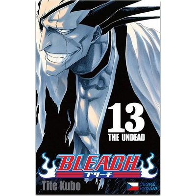 Bleach 13 (česky)