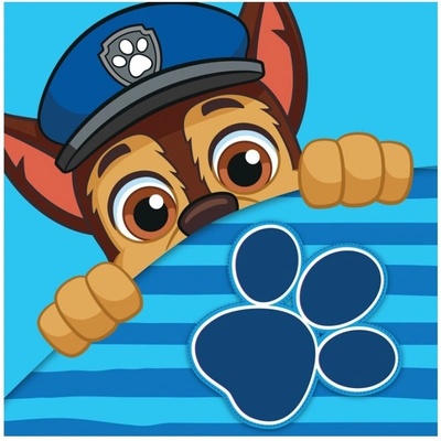 Carbotex · Detský / chlapčenský magický uterák Labková patrola - Paw Patrol - 30 x 30 cm