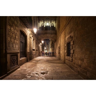 Dimex MS-5-0748 Vliesová fototapeta Barcelona Španělsko rozměry 375 x 250 cm