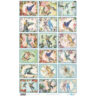 Rýžový papír 54x33 POHLEDNICE PTÁKŮ - Rice Paper 54x33 POSTALES PAJAROS