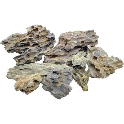 Invital Dragon Stone 6310 g Z05805