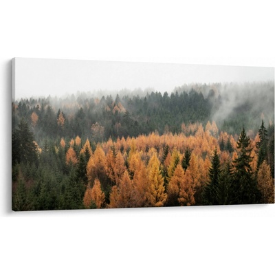 Obraz - Jesenný les, jednodielne 120x70 cm