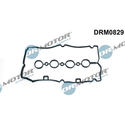 DR.MOTOR AUTOMOTIVE Tesnenie veka hlavy valcov DRM0829
