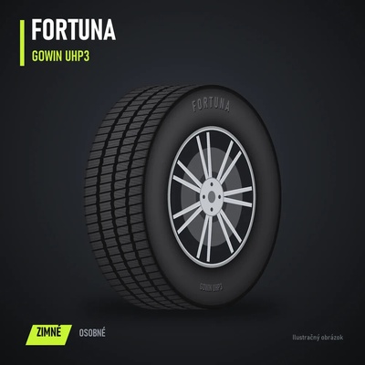 Fortuna Gowin UHP3 215/45 R17 91V