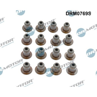 DR.MOTOR AUTOMOTIVE Sada tesnení drieku ventilu DRM0769S
