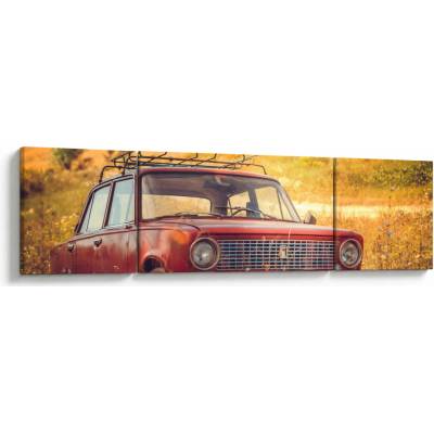 Obraz auta v poli, trojdielne 170x50 cm