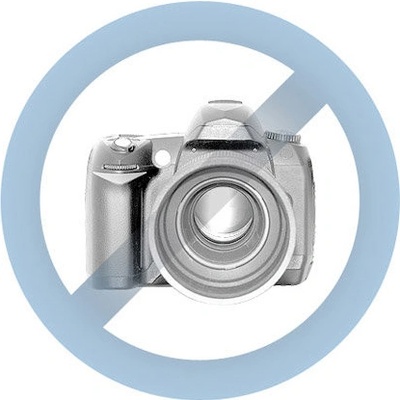 Bosch GGS 18 H Professional 0.601.209.200