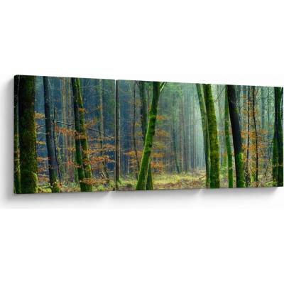 Obraz lesa, třídílný 90x30 cm