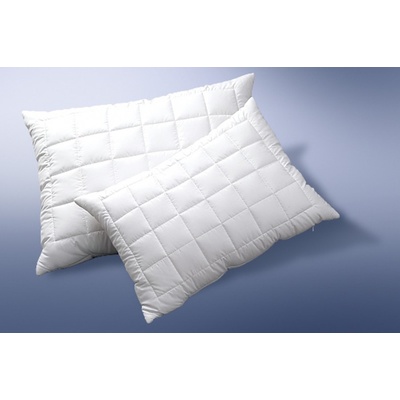 Ložnice21 Vyvařovací polštář Clinisan zip+vak 500 g 50x70
