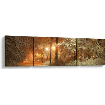 Obraz - Zasněžený park, třídílný 170x50 cm