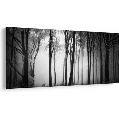 Obraz - Vlk v temnom lese, jednodielne 200x100 cm