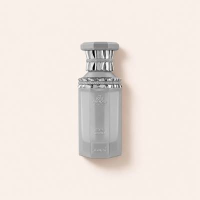 Hamidi Utopian Leather parfémovaná voda unisex 100 ml