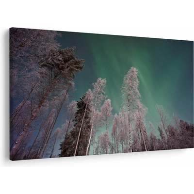 Obraz polárna žiara nad zamrznutými stromami, jednodielne 90x60 cm