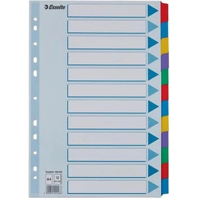 ESSELTE Register, laminovaný kartón, A4, 12 részes, ESSELTE "Mylar", farebný