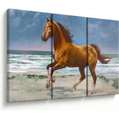 Obraz koňa na pláži, trojdielne 120x80 cm