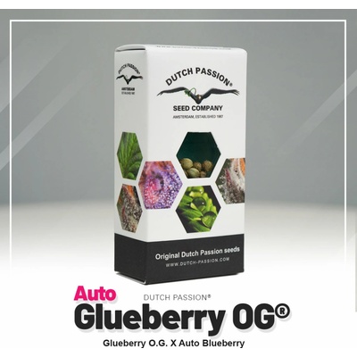 Dutch Passion AUTO Glueberry O.G. semena neobsahují THC 1 ks – Hledejceny.cz