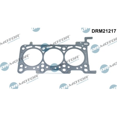 DR.MOTOR AUTOMOTIVE Tesnenie hlavy valcov DRM21217