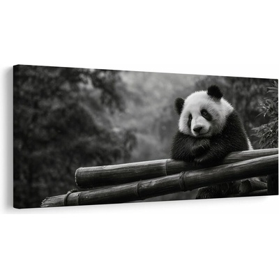 Obraz pokojná panda v prírode