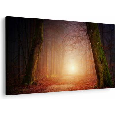 Obraz podzimního lesa v mlze, jednodílný 120x80 cm