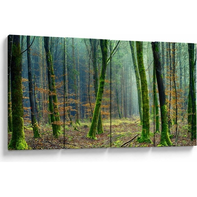 Obraz lesa, Čtyřdílný 160x80 cm