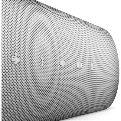 DELL SP3022
