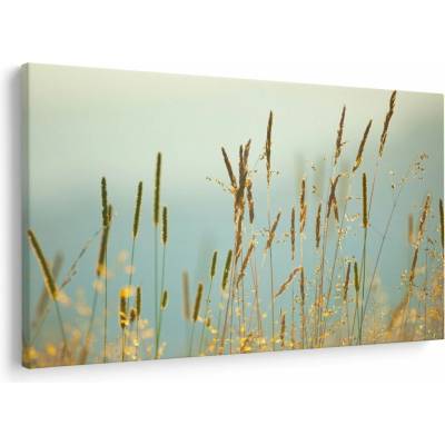 Obraz - Lúčny okamih, jednodielne 90x60 cm