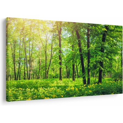 Obraz - Jarní listnatý les, jednodílný 120x80 cm