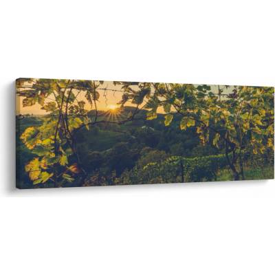 Obraz - Vinice, jednodielne 100x40 cm