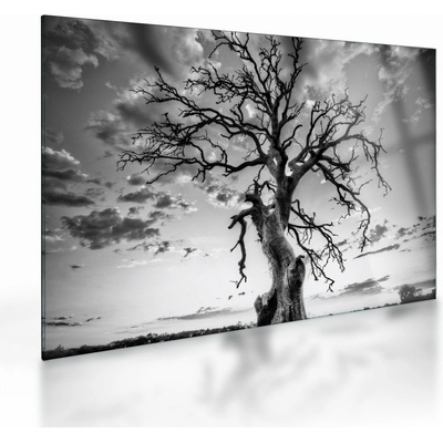 Skleněný obraz - Černobílý strom, jednodílný 70x50 cm na skle