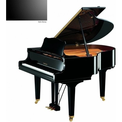 Yamaha GC1 SE