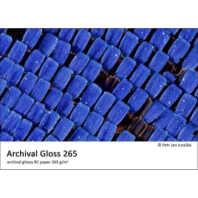 Fomei Collection Gloss, 10x15, 250 listů, 265 g/m2