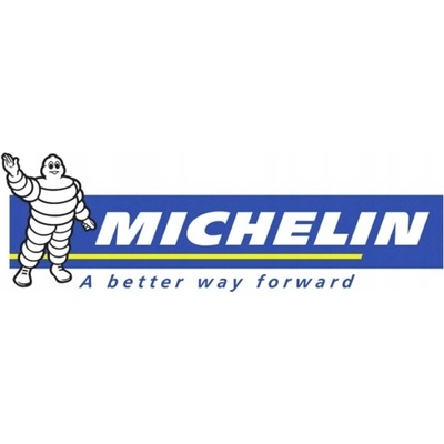 Michelin Collection ZX 6,4 R13 87S