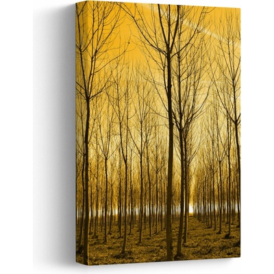 Obraz lesa pri západe slnka, jednodielny 20x30 cm