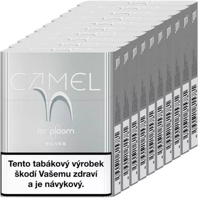 Camel Silver karton – Hledejceny.cz