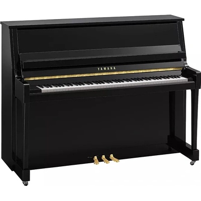 Yamaha B20 PE