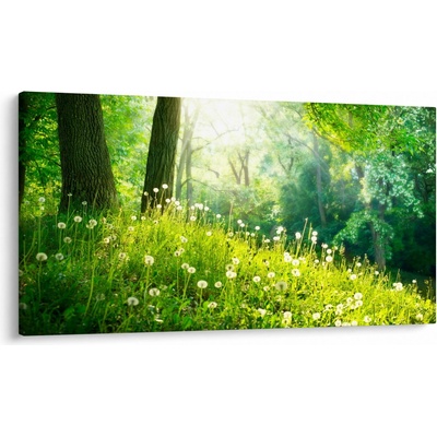 Obraz - Magická lúka plná púpav, jednodielne 120x70 cm