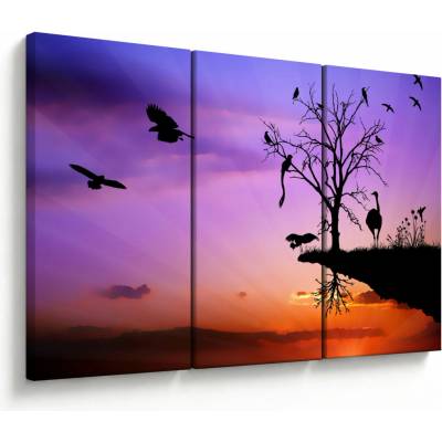Obraz - Siluety zvierat, trojdielne 120x80 cm