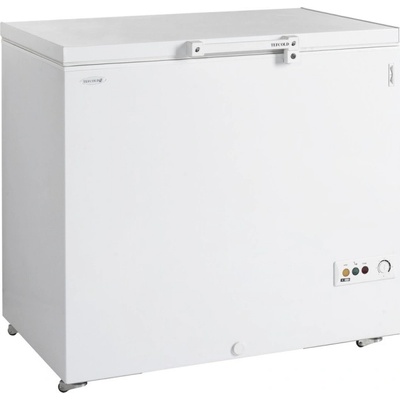Tefcold FR305