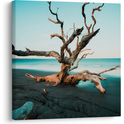 Obraz - Vyplavenie na pláži, jednodielne 70x70 cm
