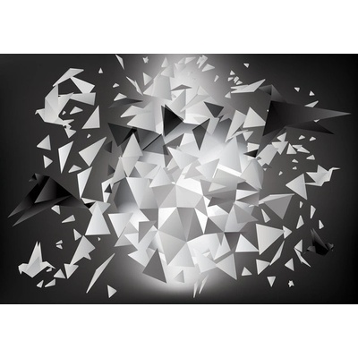 Preinterier FT2496 Fototapeta na stenu Origami – čiernobiele vlies 104cm x 70cm