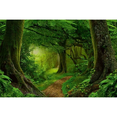 Dimex MS-5-1243 Vliesová fototapeta Hluboká tropická džungle rozměry 375 x 250 cm