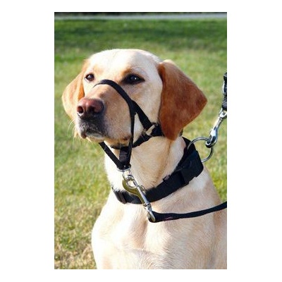 TRIXIE Training harness Top Trainer M