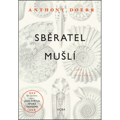 Sběratel mušlí - Anthony Doerr