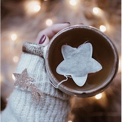 TEA HERITAGE Zelený čaj s jazmínom Star 5 ks