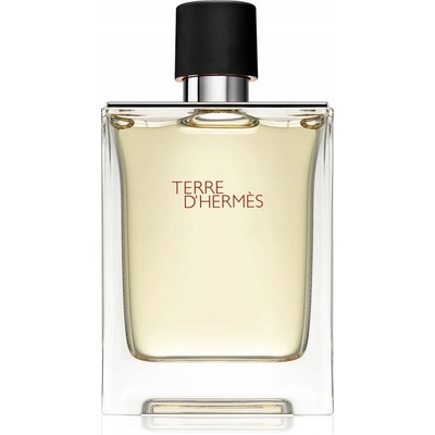 Hermès Terre D'Hermès toaletná voda pánska 100 ml tester